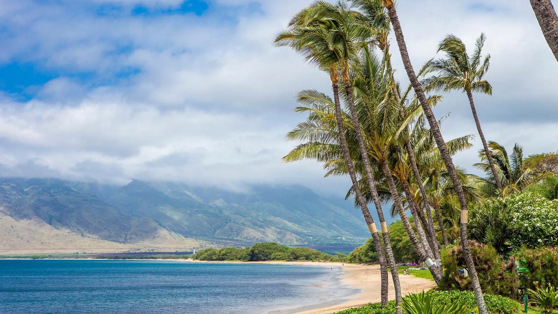 Sugar Beach 223 - Mch Kihei Holiday home