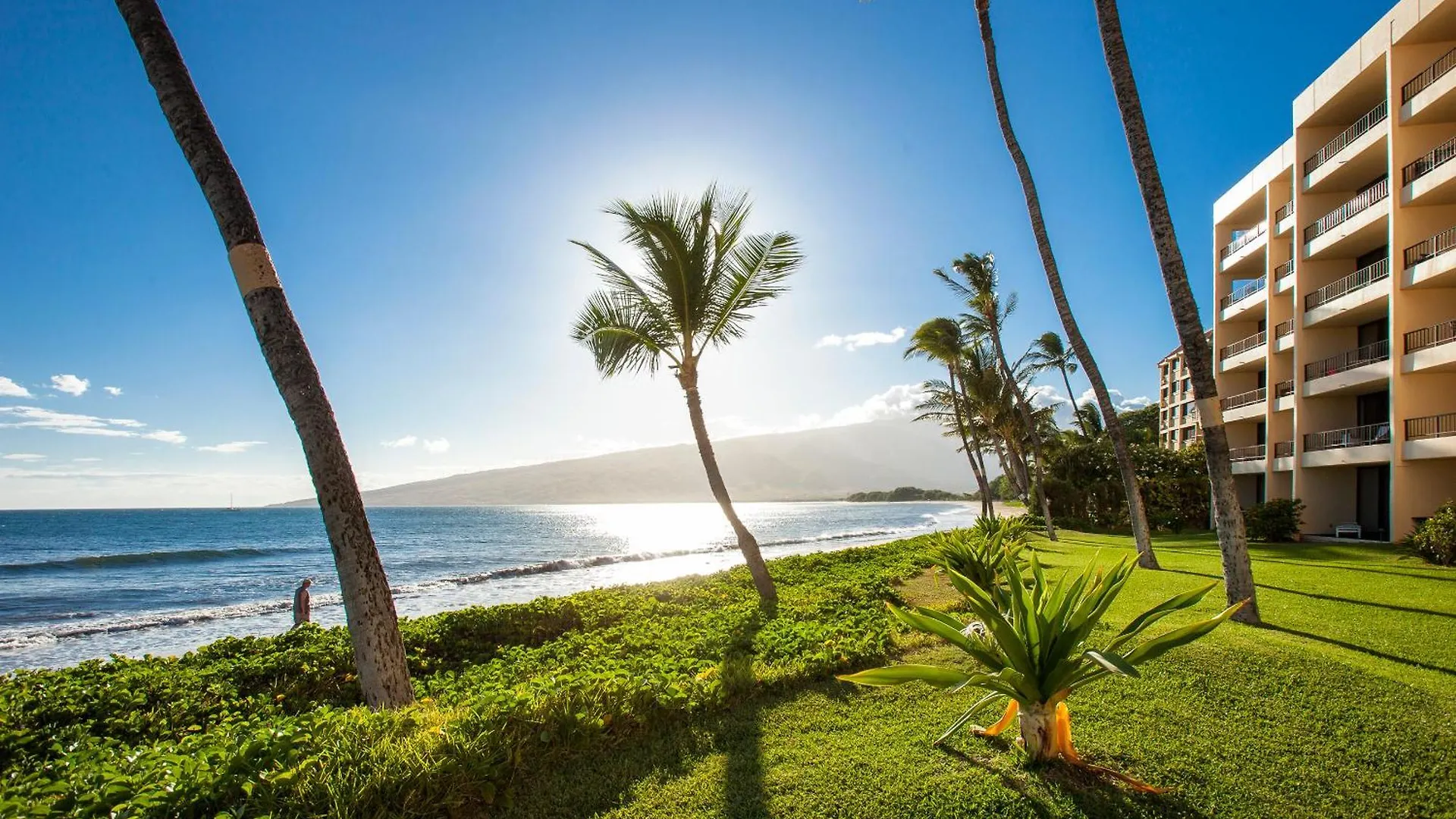 Sugar Beach 223 - Mch Kihei Holiday home