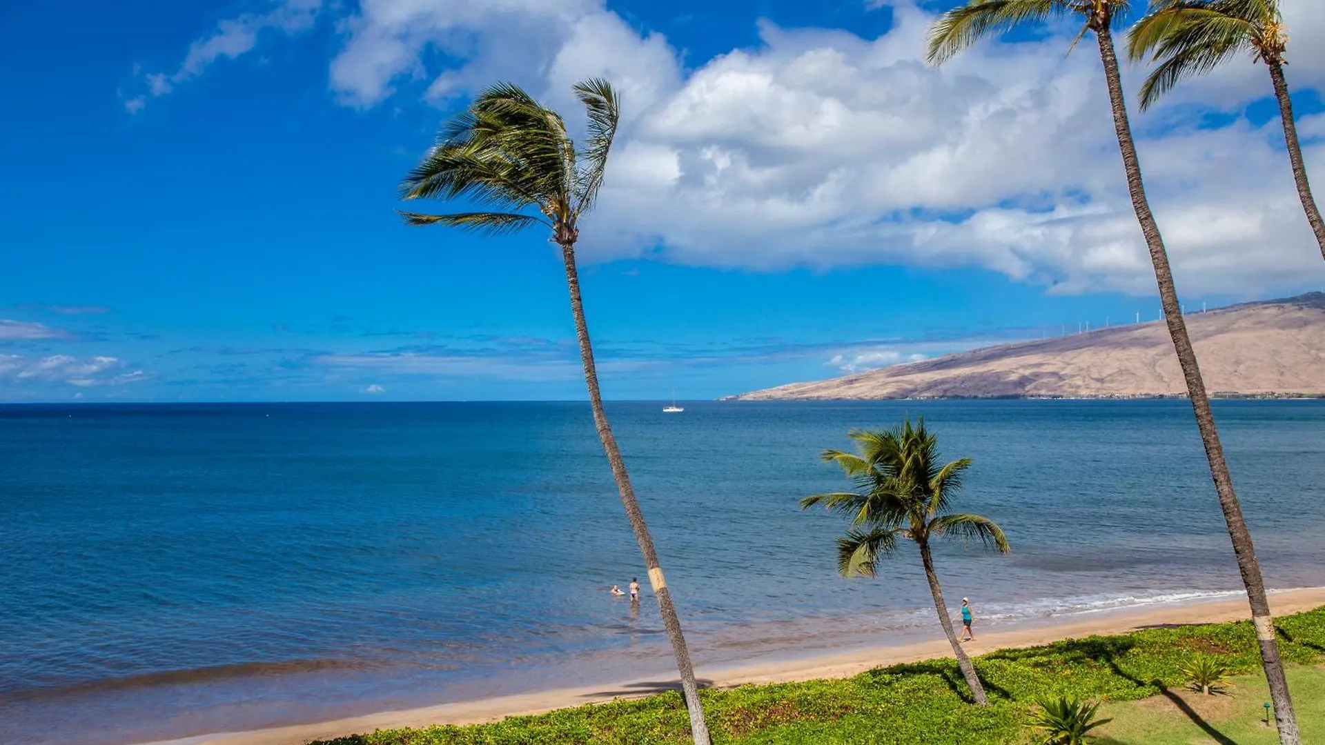 Sugar Beach 223 - Mch Kihei