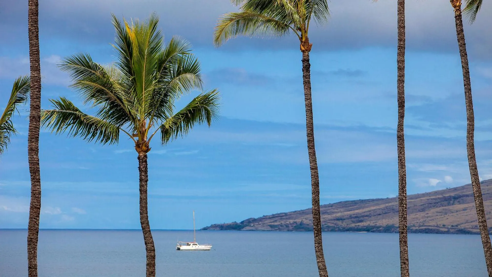 Sugar Beach 223 - Mch Kihei Holiday home