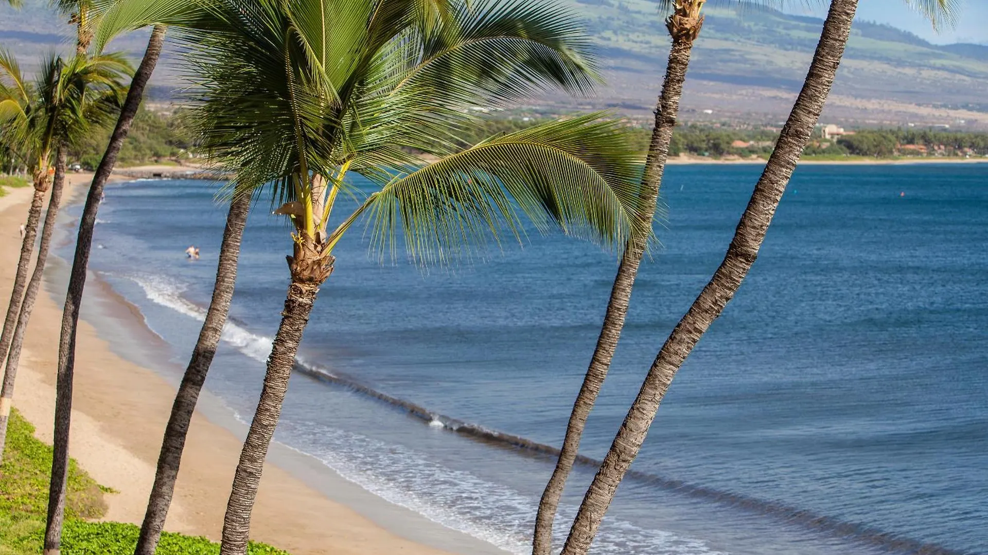 Sugar Beach 223 - Mch Kihei