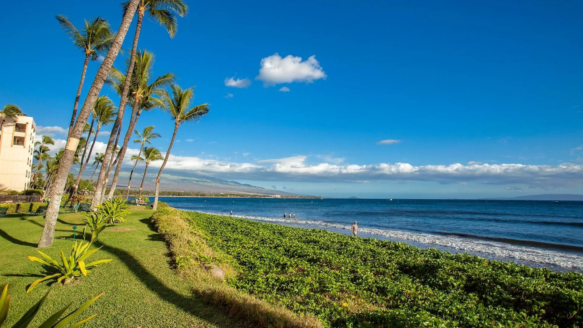 Holiday home Sugar Beach 223 - Mch Kihei